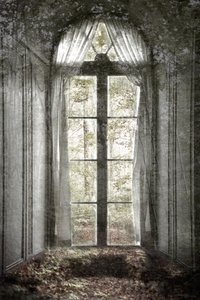 Janela da Floresta Esquecida de Christina Sillen