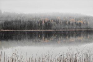 Lago enevoado de outono de Christina Sillen