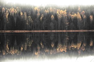 Reflexão outonal enevoada de Christina Sillen