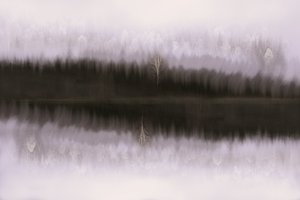 Reflexão sobre o Bétula Envolto em Nevoeiro