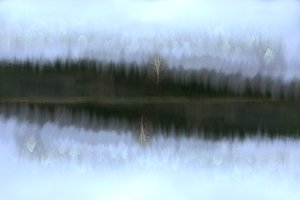 Reflexão sobre o Bétula Ennevoada de Christina Sillen