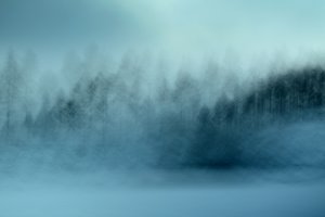 Floresta Azul Enevoada
