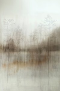 Reflexões da Floresta Ennevoada de Christina Sillen