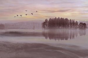 O Voo das Aves do Lago Misty de Christina Sillen