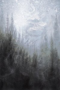Floresta de Inverno Envolvida em Nevoeiro de Christina Sillen