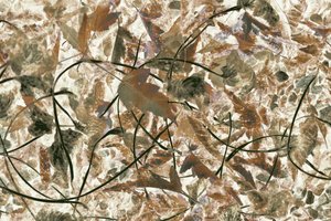 Folhagem silvestre em tons suaves de Christina Sillen