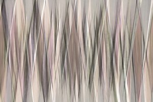 Fluxo linear silencioso de Christina Sillen