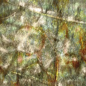 Fluxo abstrato orgânico de Christina Sillen