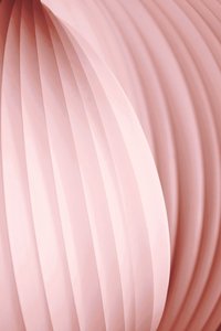 Curvas abstratas em rosa de Christina Sillen