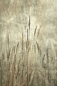  de Christina Sillen