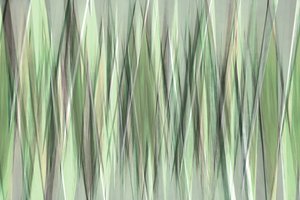 Lâminas Verdes Serenas de Christina Sillen
