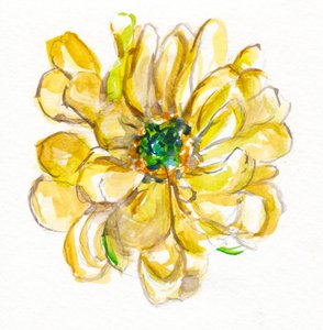 Flor amarela delicada de Christine Lindstrom