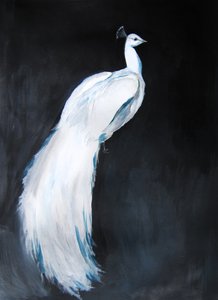 Pavão Branco Elegante de Christine Lindstrom