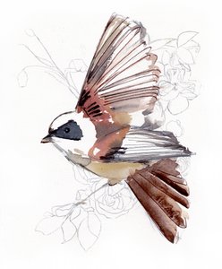 Pássaro em aquarela a voar de Christine Lindstrom