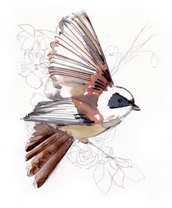 Pássaro em aquarela a voar de Christine Lindstrom