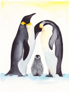 A Simpática Família dos Pinguins de Christine Lindstrom