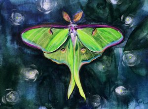 Mariposa-luna brilhante de Christine Lindstrom