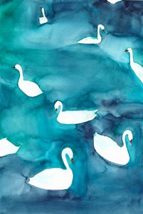 Cisnes graciosos na água de Christine Lindstrom