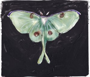 Mariposa-luna-verde de Christine Lindstrom