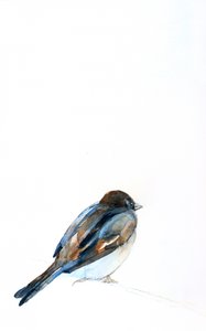 Aquarela de um pardal pousado de Christine Lindstrom