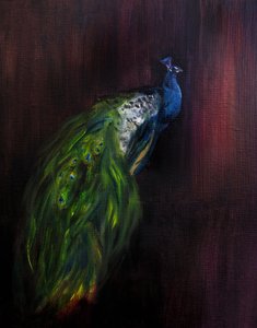Retrato de um pavão majestoso de Christine Lindstrom