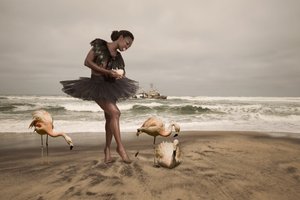 Bailarina e flamingos na praia de Christine von Diepenbroek