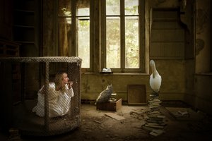 A Mulher Enjaulada e o Pelicano de Christine von Diepenbroek