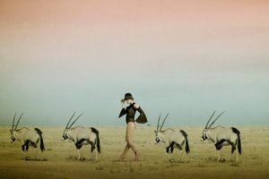 Passeio pelo deserto com o órix de Christine von Diepenbroek