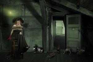 A Mulher Excêntrica no Sótão de Christine von Diepenbroek