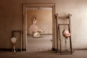 O Sonho do Ballet dos Flamingos de Christine von Diepenbroek