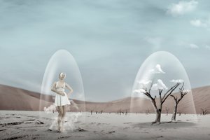 Sonho Frágil do Deserto de Christine von Diepenbroek