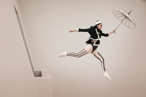 O Voo Fantasioso da Arlequim de Christine von Diepenbroek