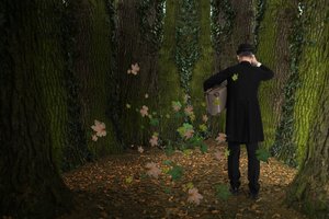 A Viagem do Homem pela Floresta de Christine von Diepenbroek