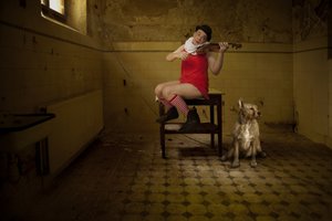 Serenata de um Quarto Excêntrico de Christine von Diepenbroek