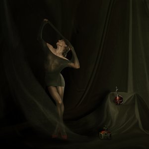 A graça do tecido transparente de Christine von Diepenbroek