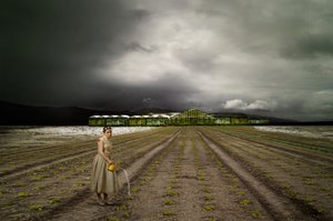 O Jardineiro Solitário, Stormy Field de Christine von Diepenbroek