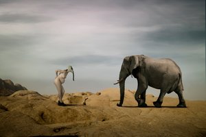 Um encontro surreal no deserto de Christine von Diepenbroek