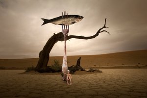 Peixe surreal do deserto de Christine von Diepenbroek