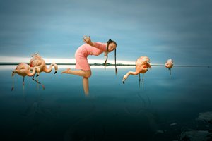 Mulher entre os flamingos de Christine von Diepenbroek