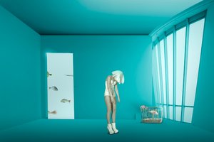 encarceramento de Christine von Diepenbroek