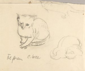 Gatos de Christoph Voll