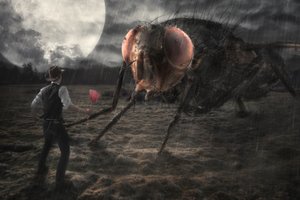 Encontro com uma mosca gigante de Christophe Kiciak
