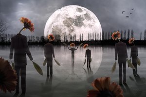 Figuras de cabeças de flores ao luar de Christophe Kiciak