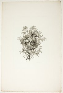 Bouquet com papoilas, da coleção de diferentes bouquets de flores, inventado e desenhado por Jean Pillement e gravado por P. C. Canot de Christopher Norton