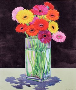 Gerberas (aquarela sobre papel)