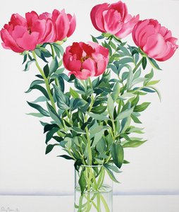 Peônias (aquarela sobre papel)