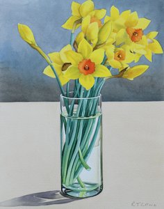 Supermercado Daffodils, 2022 (aguarela sobre papel) de Christopher Ryland