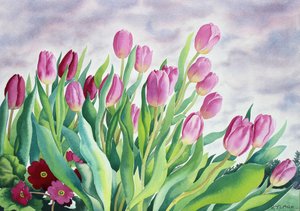 Tulipas pela janela (aquarela sobre papel)