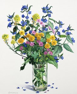 Flores Silvestres com Alkanet, 2021 (aquarela sobre papel) de Christopher Ryland