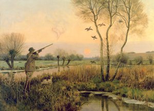 Pato Tiro de Christopher William Strange